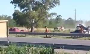 Cortaba el pasto al costado de la Panamericana y murió arrollado