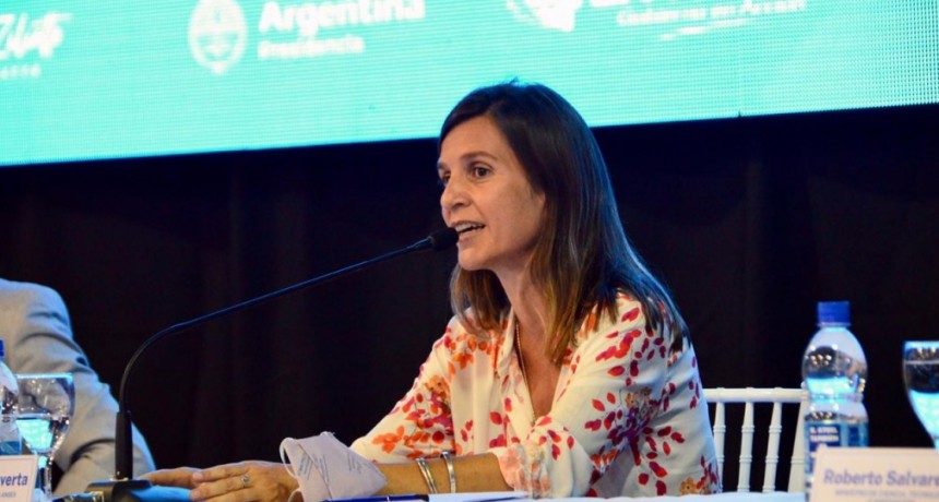  Convenios provinciales  LA ANSES TRANSFIRIÓ MÁS DE 40 MIL MILLONES DE PESOS A LAS PROVINCIAS