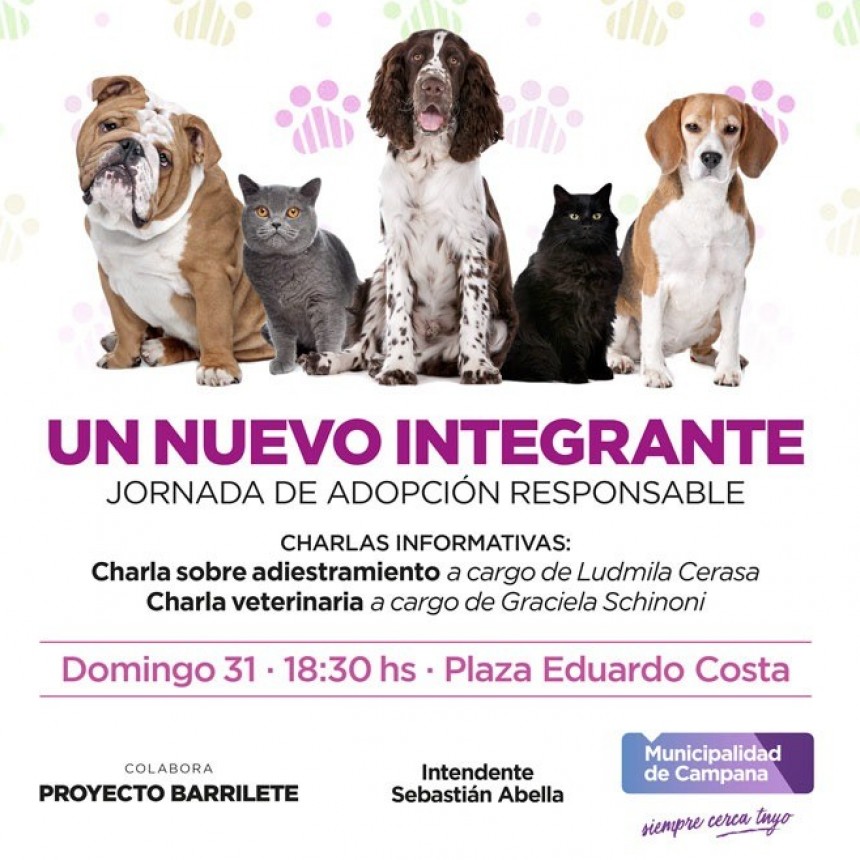 El domingo se realizará una nueva jornada de adopción responsable de mascotas