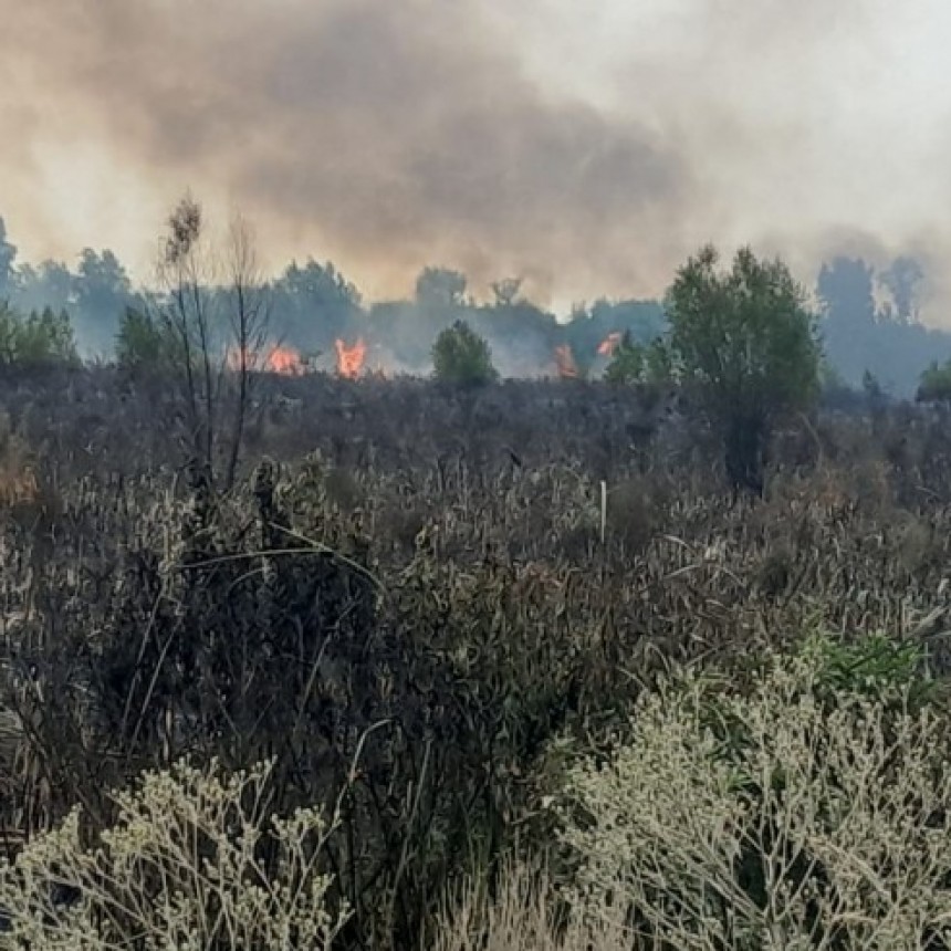 Defensa Civil estuvo colaborando para mitigar el incendio del Parque Nacional Ciervo de Los Pantanos