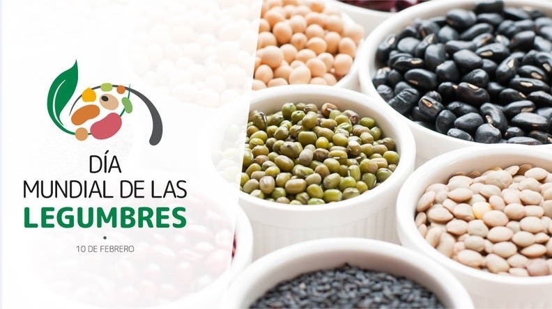 Destacan la importancia de las legumbres para lograr una alimentación saludable