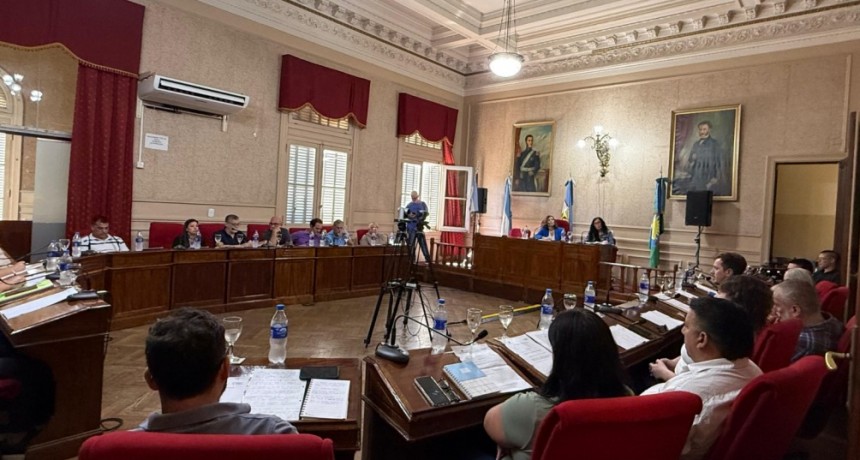 Fuerza Patria: “El abellismo se alineó con Milei y le dio la espalda a los trabajadores de Campana votando contra el rechazo a la reforma laboral”