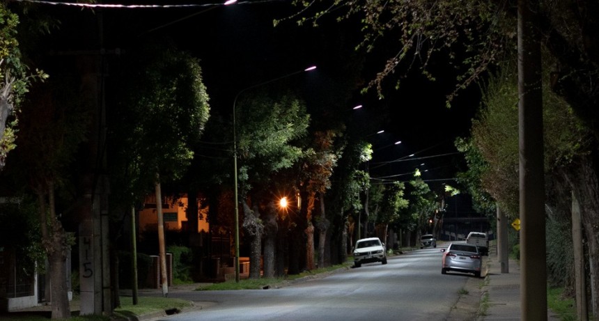El Municipio completó la iluminación LED en el barrio Dálmine Viejo