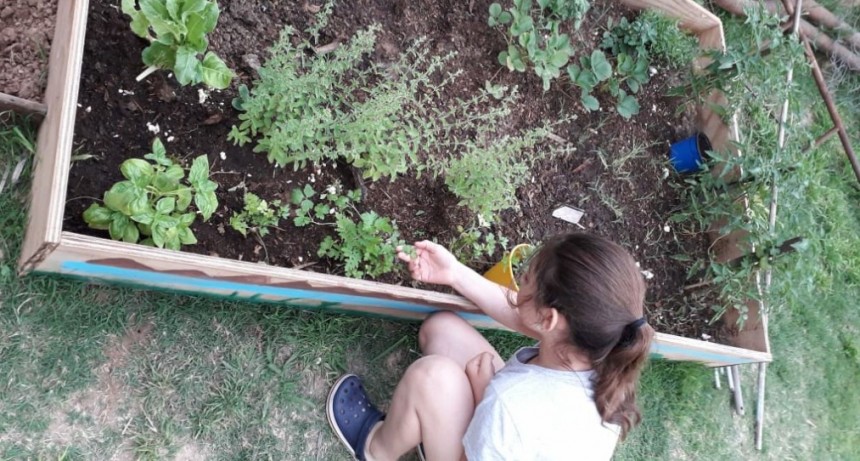 SEMBRANDO CAMPANA CIERRA SU PRIMERA ETAPA   