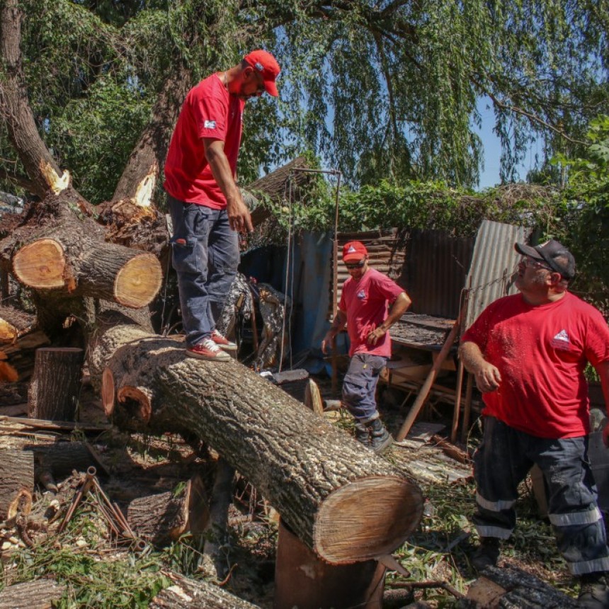 Abella destacó la rápida respuesta del Municipio frente al temporal