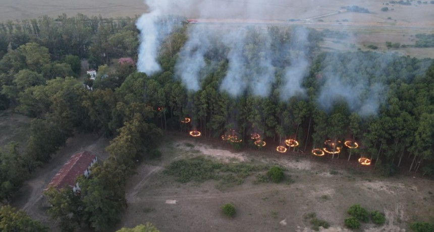 Todo el equipo de Defensa Civil Campana brinda colaboración en un nuevo incendio en el sector insular
