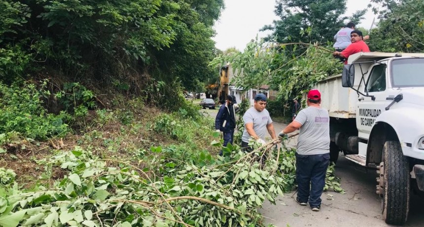 Realizan un importante operativo de limpieza en la zona de la Casa de los Costa   