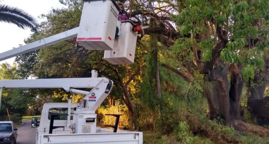 Espacio público: continúa el mantenimiento integral en toda la ciudad