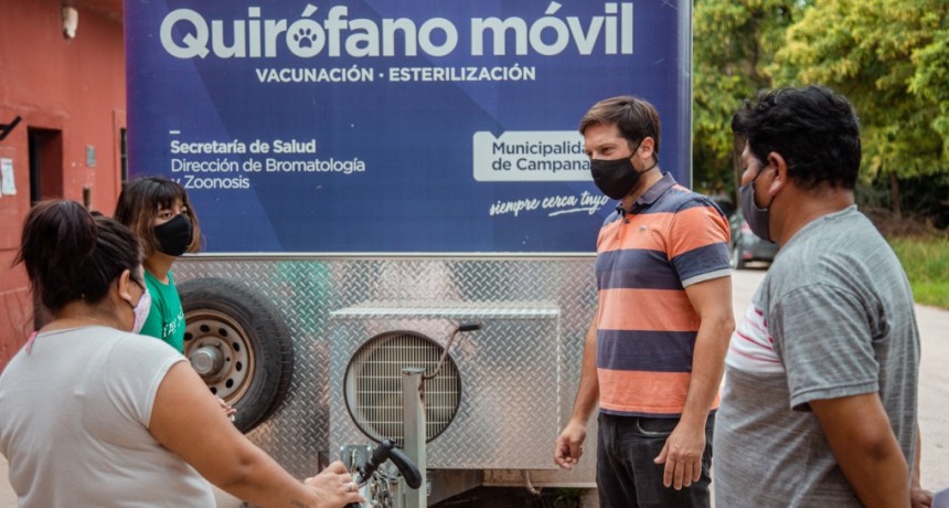 En marzo, el Municipio castró 460 mascotas de manera gratuita