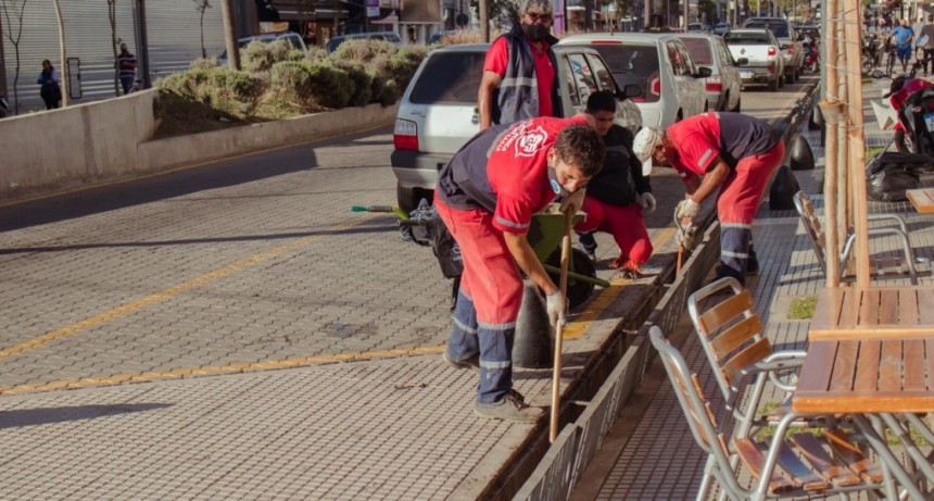 Realizan un operativo de limpieza en las alcantarillas de la avenida Rocca