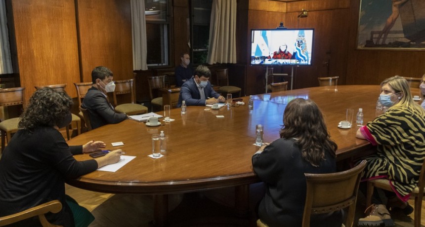 VIZZOTTI SE REUNIÓ CON GOBERNADORES Y MINISTROS DE SALUD DE LA PATAGONIA PARA ANALIZAR LA SITUACIÓN EPIDEMIOLÓGICA Y EL AVANCE DE LA VACUNACIÓN