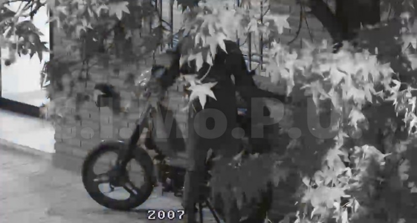 El CIMoPU facilitó la detención de un menor que intentó robar una moto 