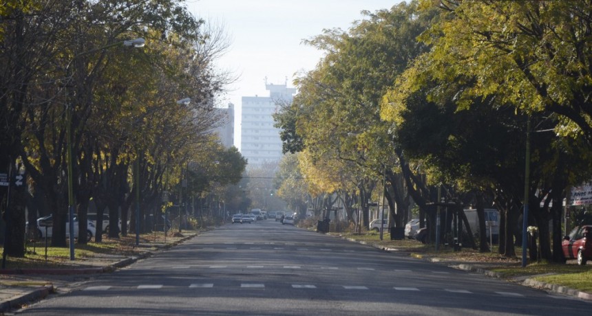 El Municipio realizó un operativo de poda correctiva del arbolado público 