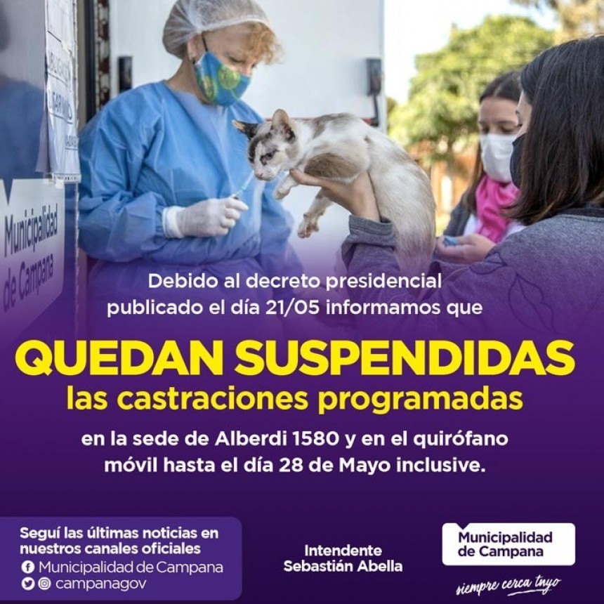  Por el confinamiento, suspenden las castraciones de mascotas   