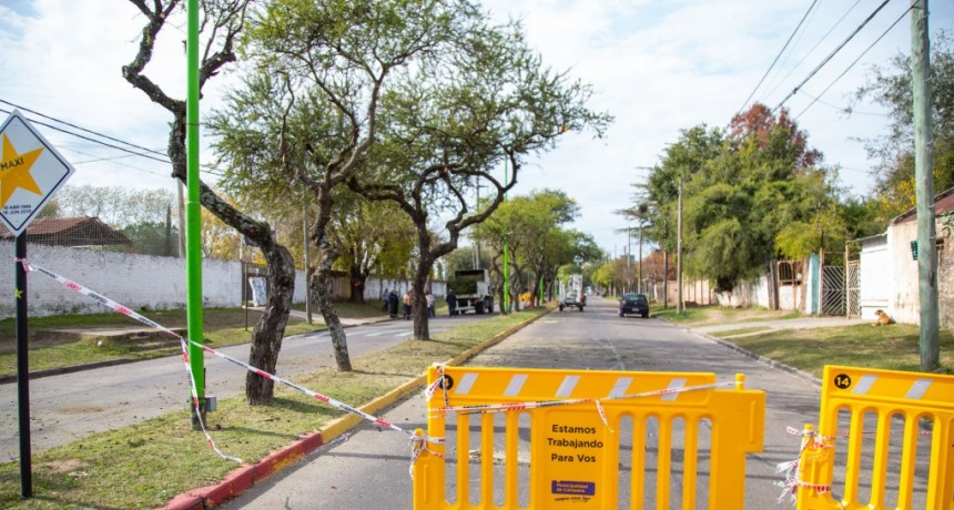 El Municipio continúa con la poda correctiva del arbolado público 