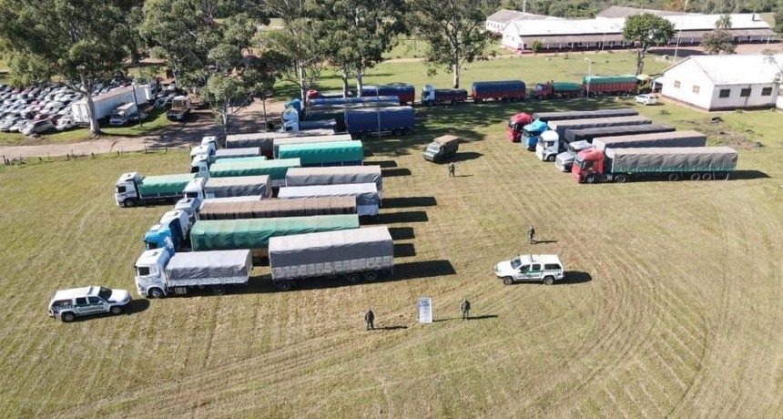 Contrabando: la Gendarmería decomisó 451 toneladas de soja y 28 de maíz
