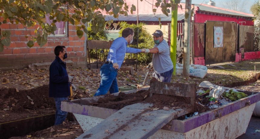 ESPACIO PÚBLICO: NUEVAS TAREAS DE MANTENIMIENTO EN LA CIUDAD