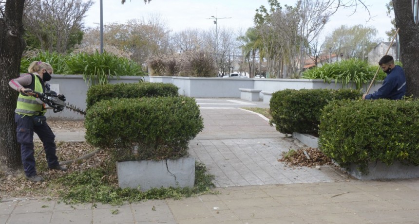 Los trabajos son en el marco del plan de mantenimiento y puesta en valor de los espacios públicos que impulsa el Municipio. 