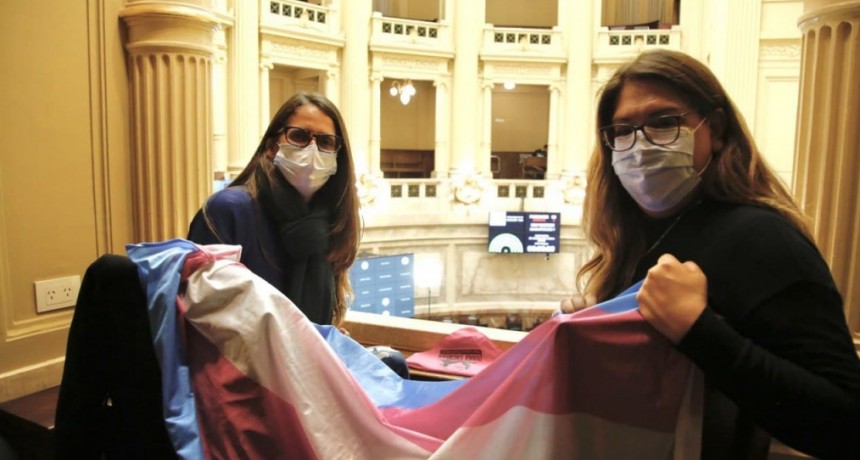  Gómez Alcorta: El cupo laboral travesti trans es Ley por la fuerza de los movimientos de la diversidad