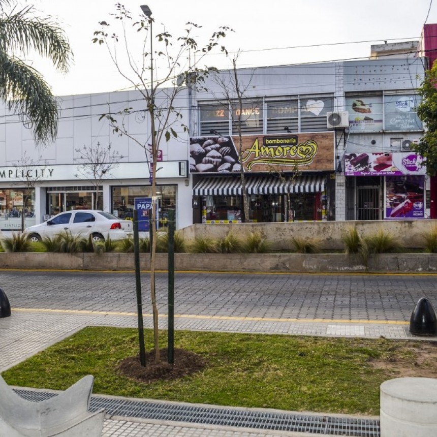 El Municipio comenzó un plan de reforestación del arbolado público