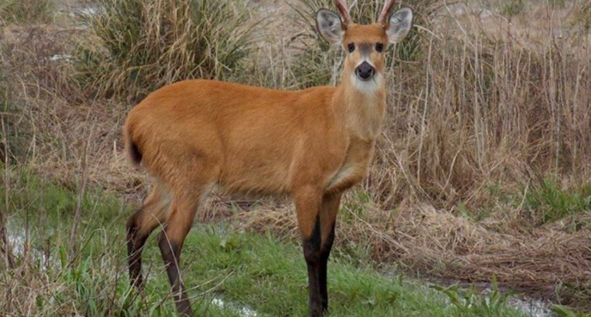 Se reunió la mesa de trabajo de turismo