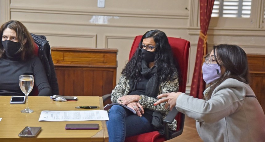 El Consejo de Género y Violencia Familiar del HCD tuvo su primera reunión
