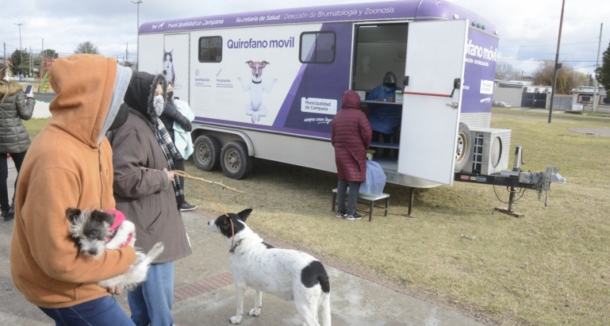  Comenzó la campaña de vacunación antirrábica para mascotas