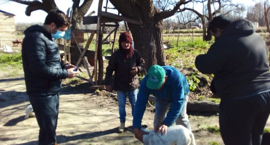 Más de 4.850 de gatos y perros recibieron la vacuna antirrábica