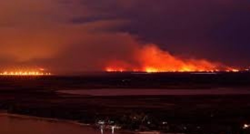 Incendios en el Delta - La Defensoría del Pueblo de la Nación insiste en que la clave es la gestión coordinada e interjurisdiccional del Humedal