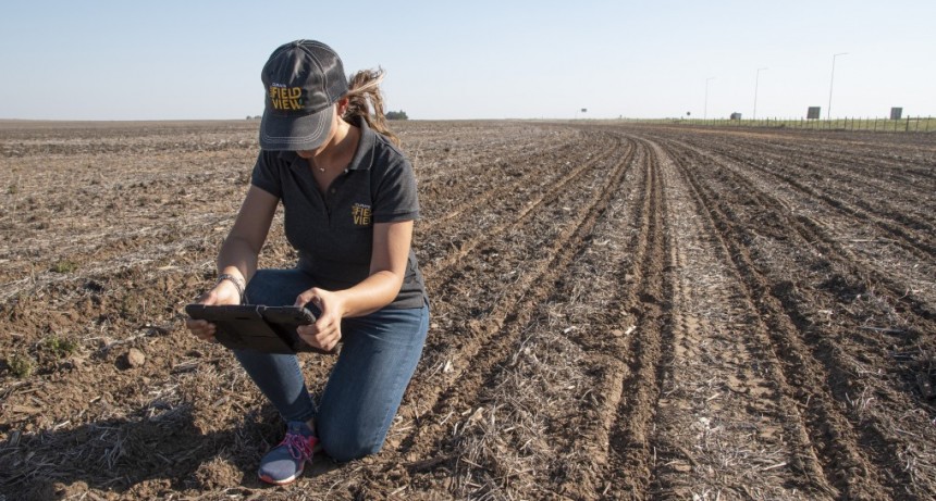 La agricultura avanza en la revolución digital :  Más de 2 millones de hectáreas ya se trabajan con FieldView™ en la Argentina