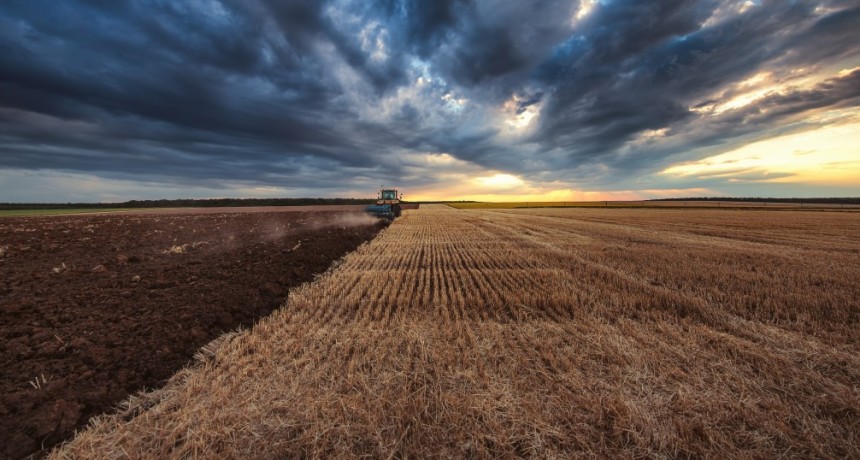 Bayer en AAPRESID:  Estamos trabajando para implementar la Iniciativa de Carbono de Bayer en la Argentina