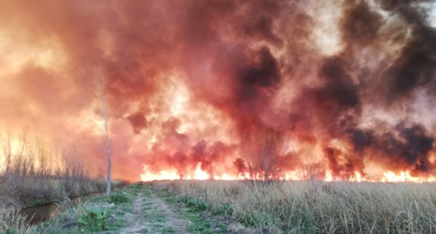 El Frente de Todos-PJ manifestó su preocupación por los incendios en las islas