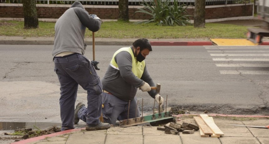 El Municipio inició un plan de reparación de bocas de tormenta en el casco urbano