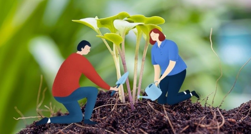 Naturgy lanza la edición 2020 de Sembrando Futuro en modalidad a distancia 