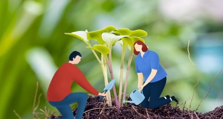 Naturgy lanza la edición 2020 de Sembrando Futuro en modalidad a distancia 