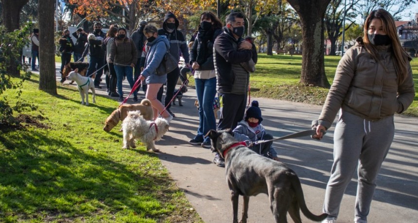 La campaña de vacunación antirrábica llega mañana a la plaza Eduardo Costa 