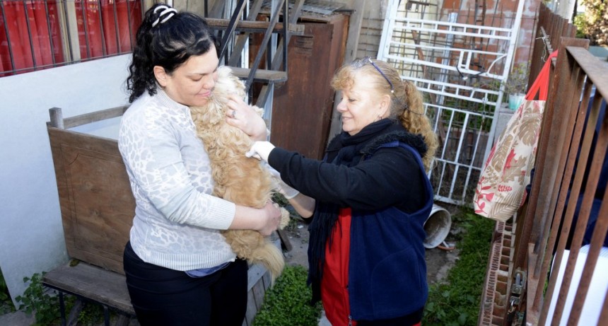  Tras aparición de un murciélago con rabia, el Municipio ya vacunó a más de 100 perros y gatos en Don Francisco