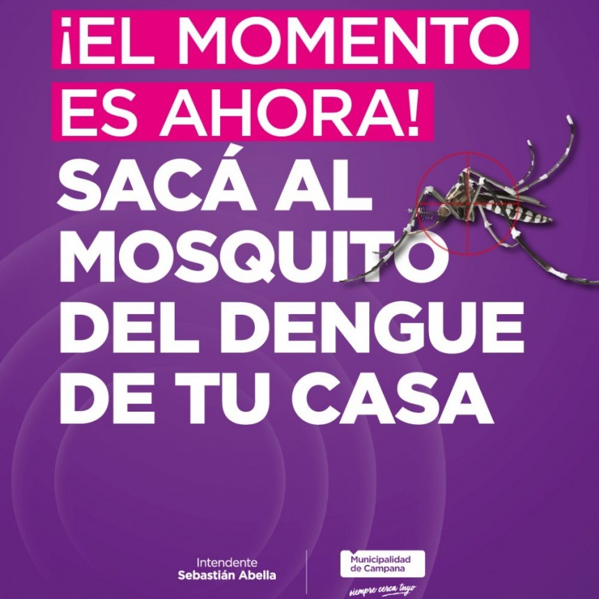 Dengue: con la llegada de la primavera, destacan la importancia de extremar los cuidados en las viviendas