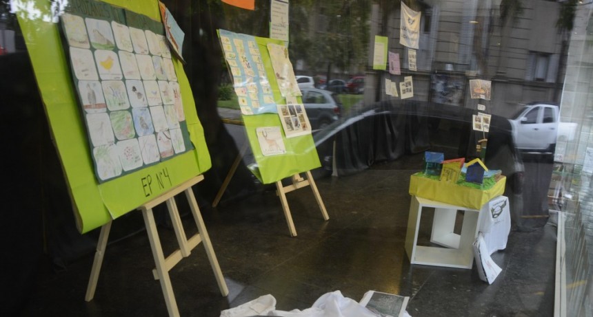 Se exhibe la muestra “Humedales del Valle de Río Luján: nuestro paisaje cotidiano”