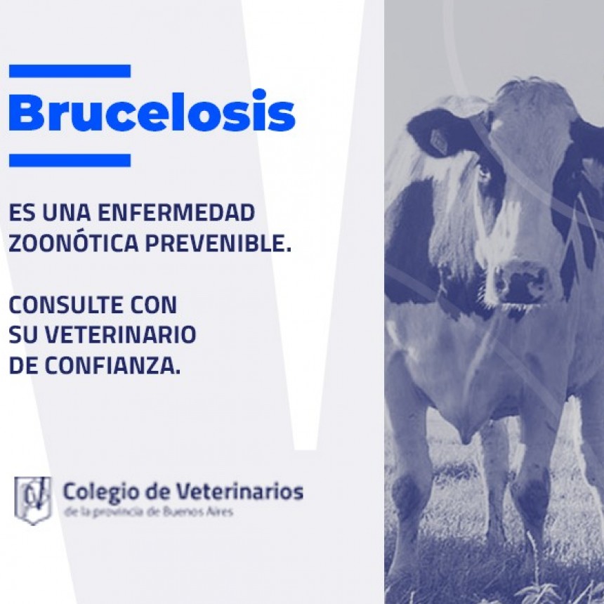 Brucelosis: Los planes de control y erradicación tienen un importante beneficio