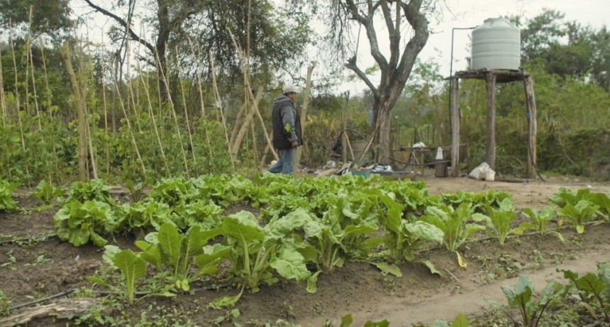 Semillero de Futuro 2020 ya tiene ganador