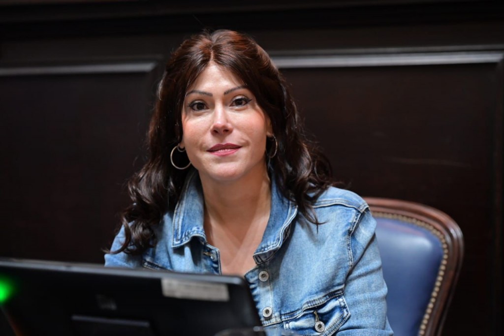 La Legislatura bonaerense convirtió en ley dos proyectos de Soledad Alonso