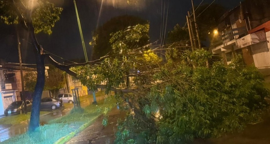 Intensos trabajos de Defensa Civil tras el fuerte temporal del domingo a la madrugada