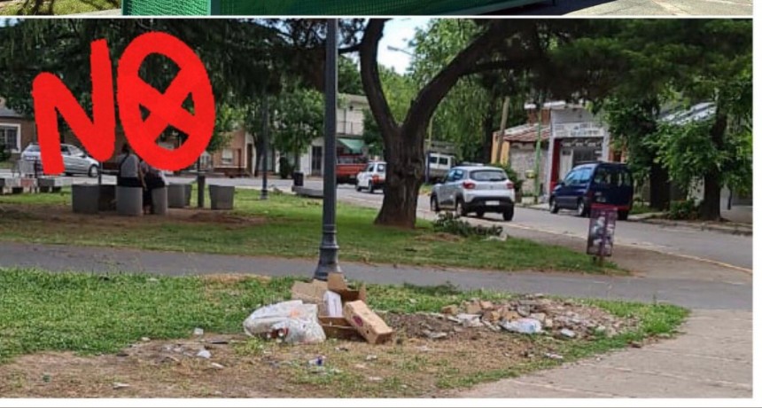 Puntos Verdes: piden mayor compromiso y responsabilidad en la disposición de los residuos reciclables 