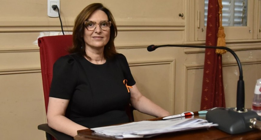 El HCD tendrá un Concejo Deliberante Estudiantil   