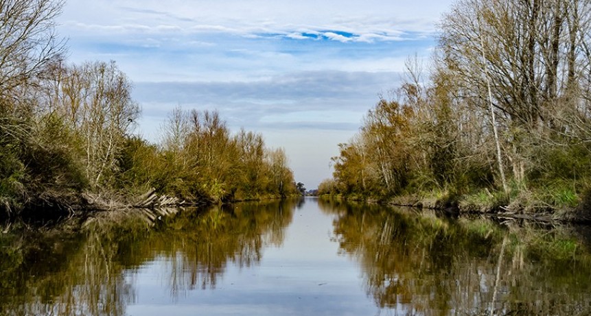 LLEGARON 5 EQUINOS AL PARQUE NACIONAL