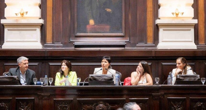 Soledad Alonso participó del Primer Parlamento Bonaerense de la Discapacidad en la Cámara de Diputados de la Provincia de Buenos Aires