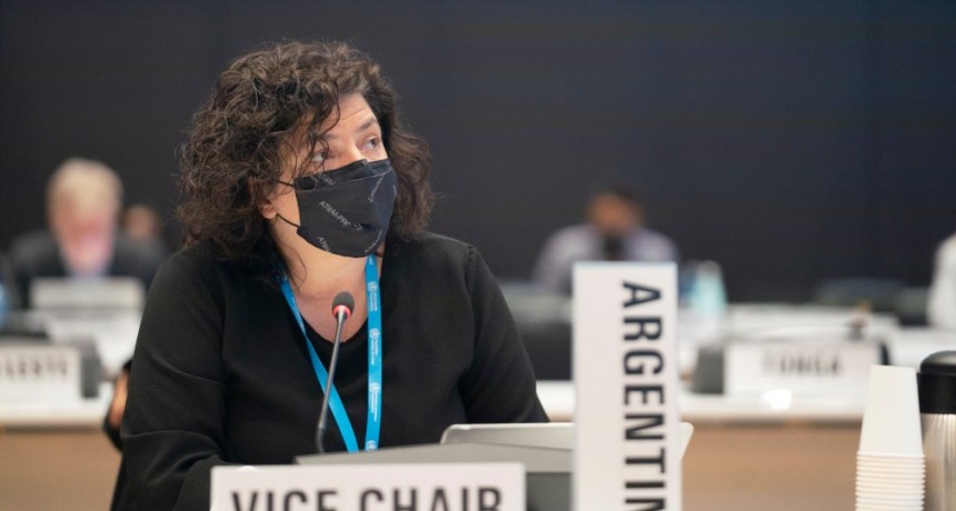 VIZZOTTI RENOVÓ EN GINEBRA EL COMPROMISO DE ARGENTINA CON EL ACCESO GLOBAL Y EQUITATIVO A LA SALUD