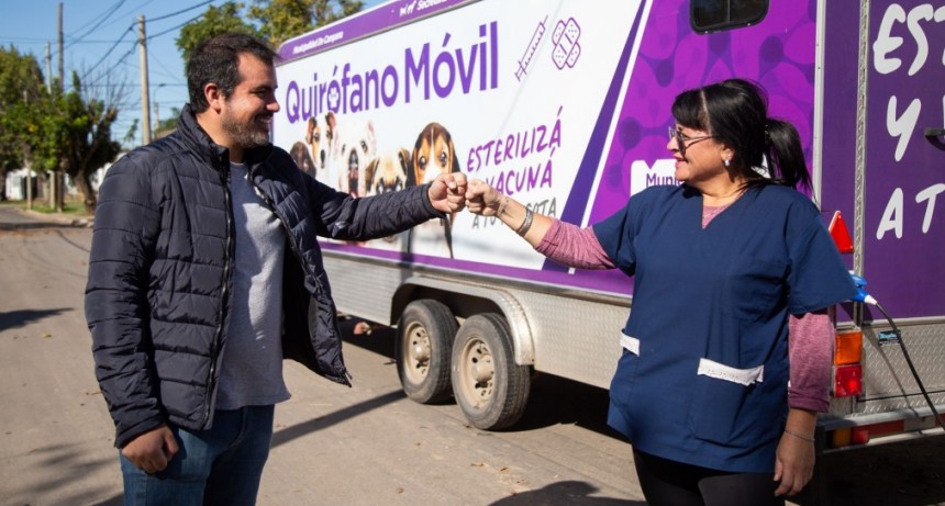 Durante el año, el Municipio castró a más de 4.000 mascotas de forma gratuita