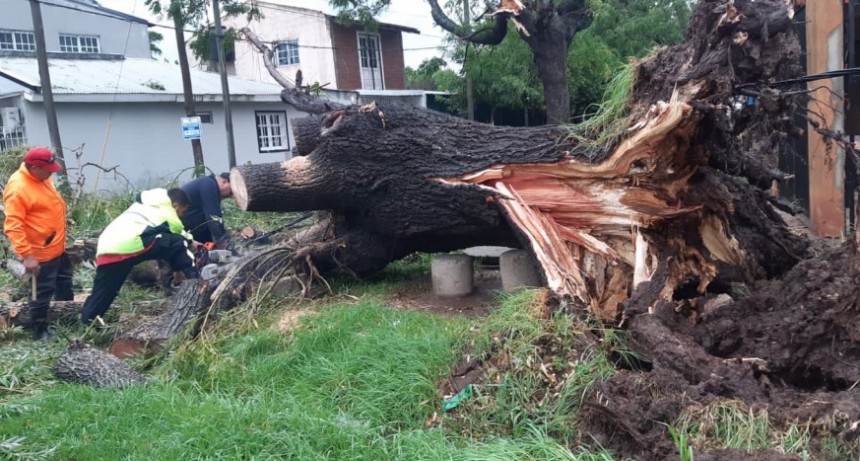 Intensos trabajos de las cuadrillas municipales tras el temporal